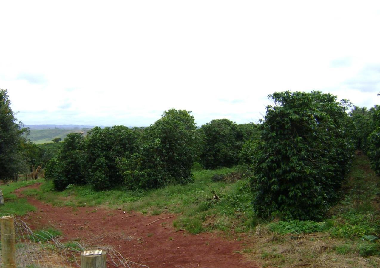Sitio Sao Benedito São Roque de Minas Eksteriør billede